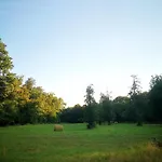 Blue Forest Retreat Manfa