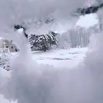 Διαμέρισμα Blue Forest Retreat