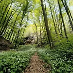 Blue Forest Retreat Διαμέρισμα