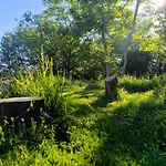 Blue Forest Retreat Διαμέρισμα *