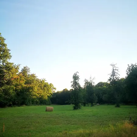 Blue Forest Retreat Manfa