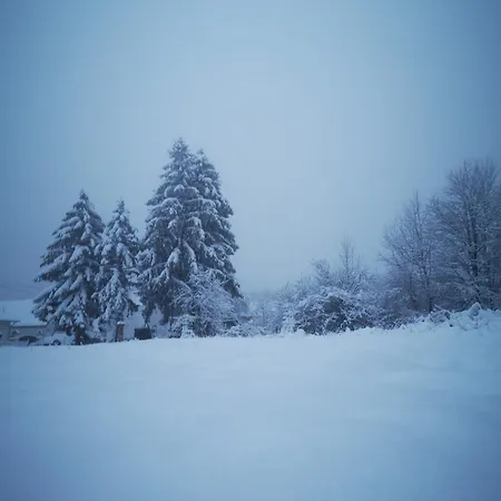 Blue Forest Retreat * Manfa