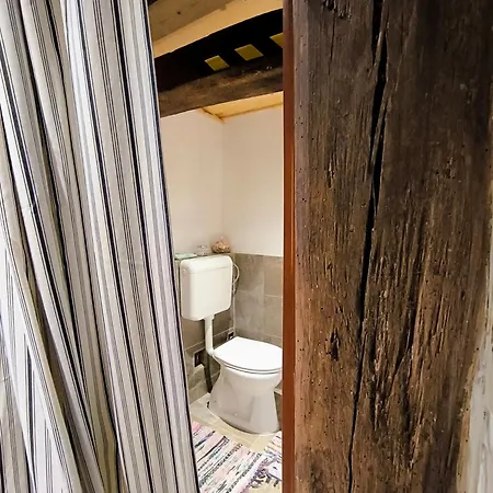 Appartement Blue Forest Retreat