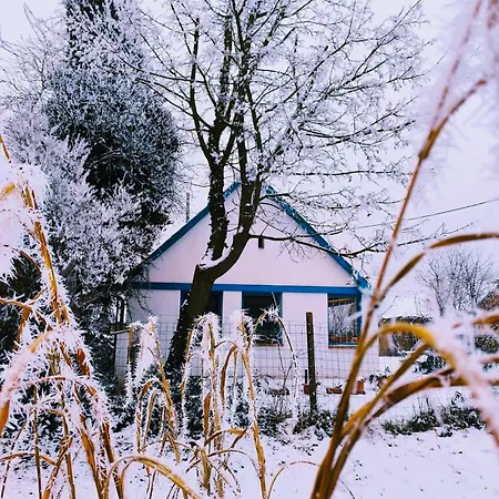Apartment Blue Forest Retreat