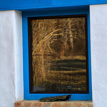 Blue Forest Retreat Apartamento Manfa