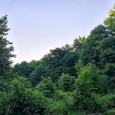 Διαμέρισμα Blue Forest Retreat