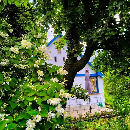 Apartamento Blue Forest Retreat