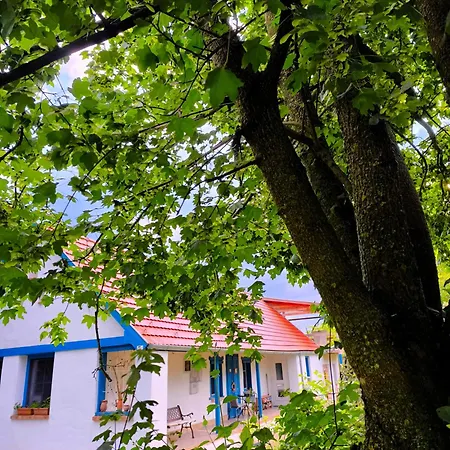 Blue Forest Retreat Manfa