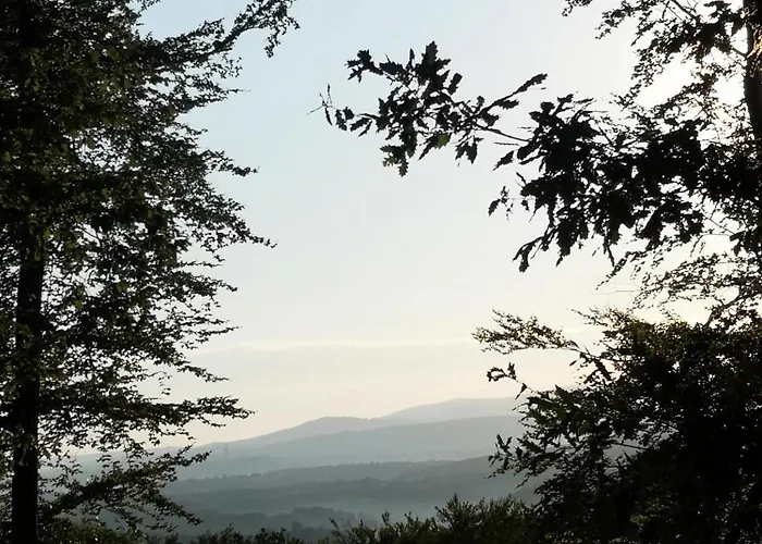 Blue Forest Retreat شقة *