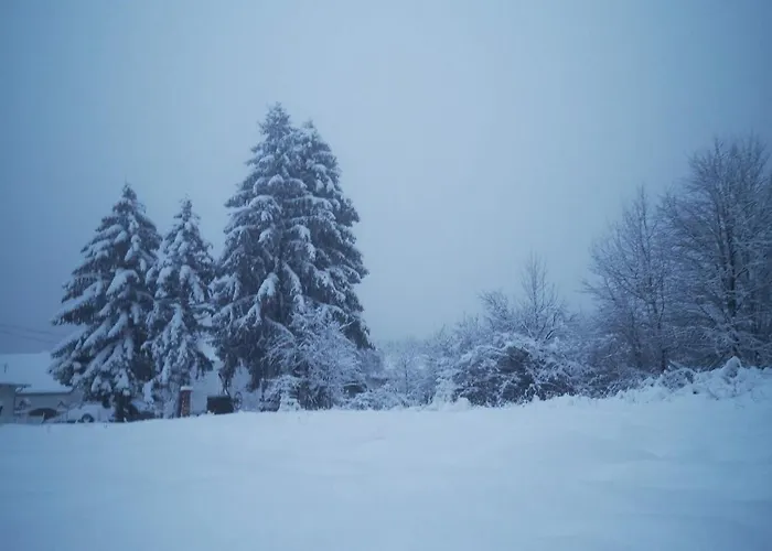 Blue Forest Retreat * Manfa