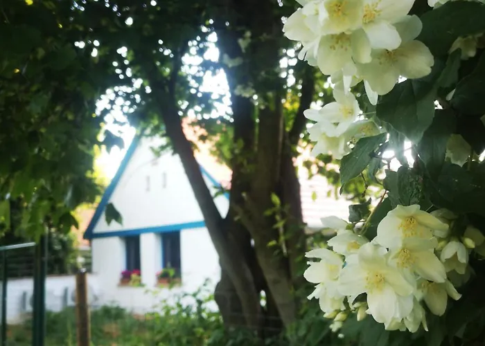 شقة Blue Forest Retreat *