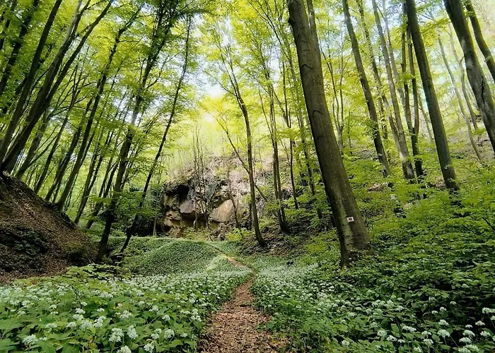 Blue Forest Retreat شقة