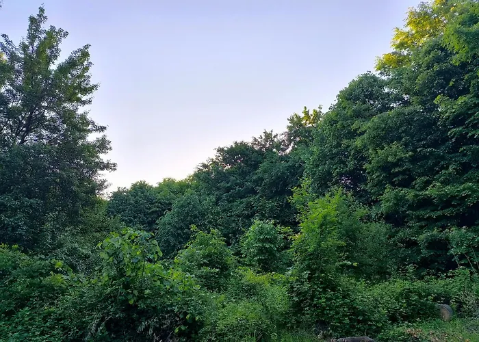 Lejlighed Blue Forest Retreat