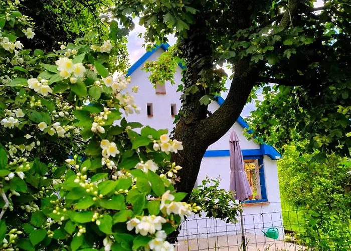 شقة Blue Forest Retreat