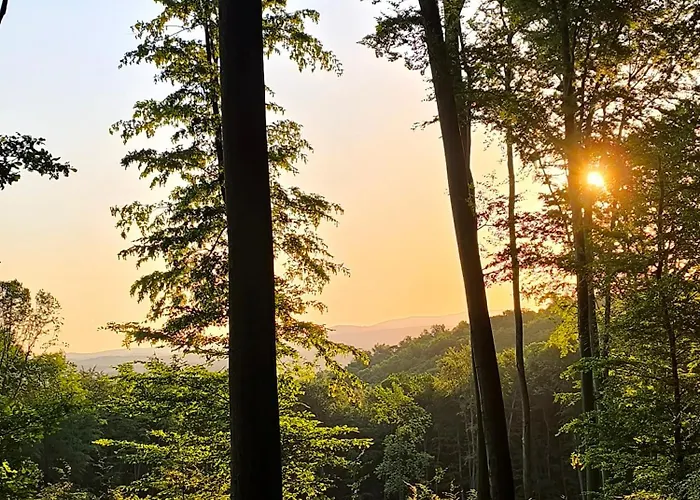 شقة Blue Forest Retreat *