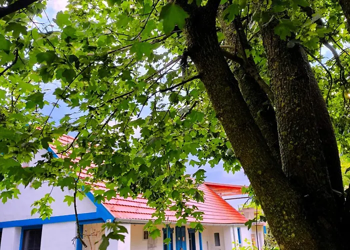 شقة Blue Forest Retreat *